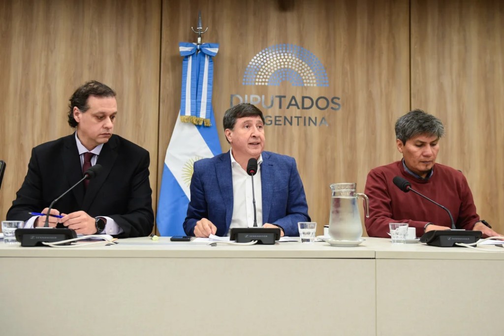 Diputados avanzó con un proyecto para incluir la atrofia muscular espinal en la pesquisa&nbsp;neonatal