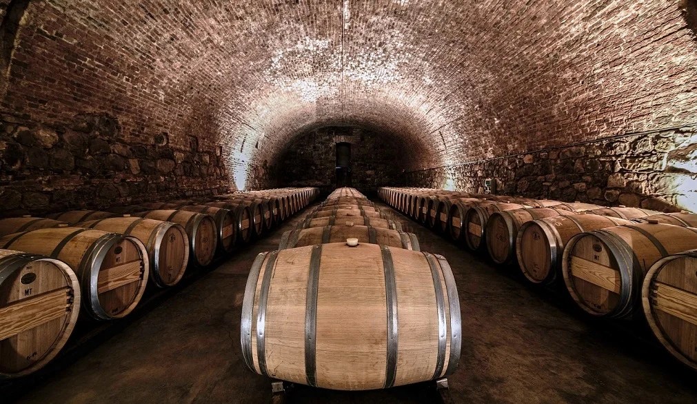 Mendoza recibió un premio internacional por sus&nbsp;bodegas