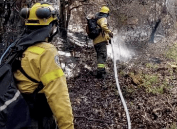 Investigan intencionalidad en nuevos incendios en Los&nbsp;Alerces